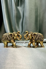 Design Elephant Set