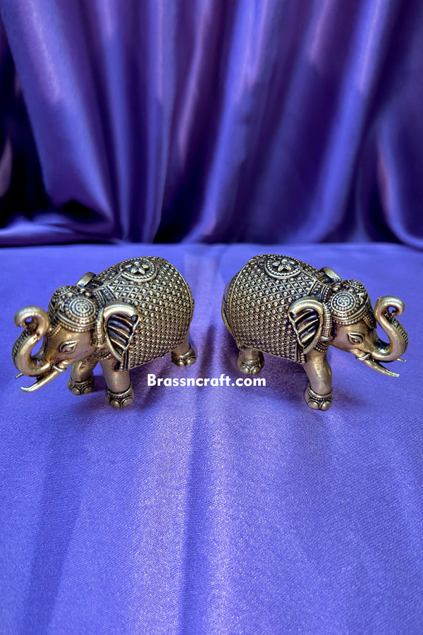 Design Jaali Elephant Set