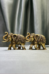 Design Elephant Set