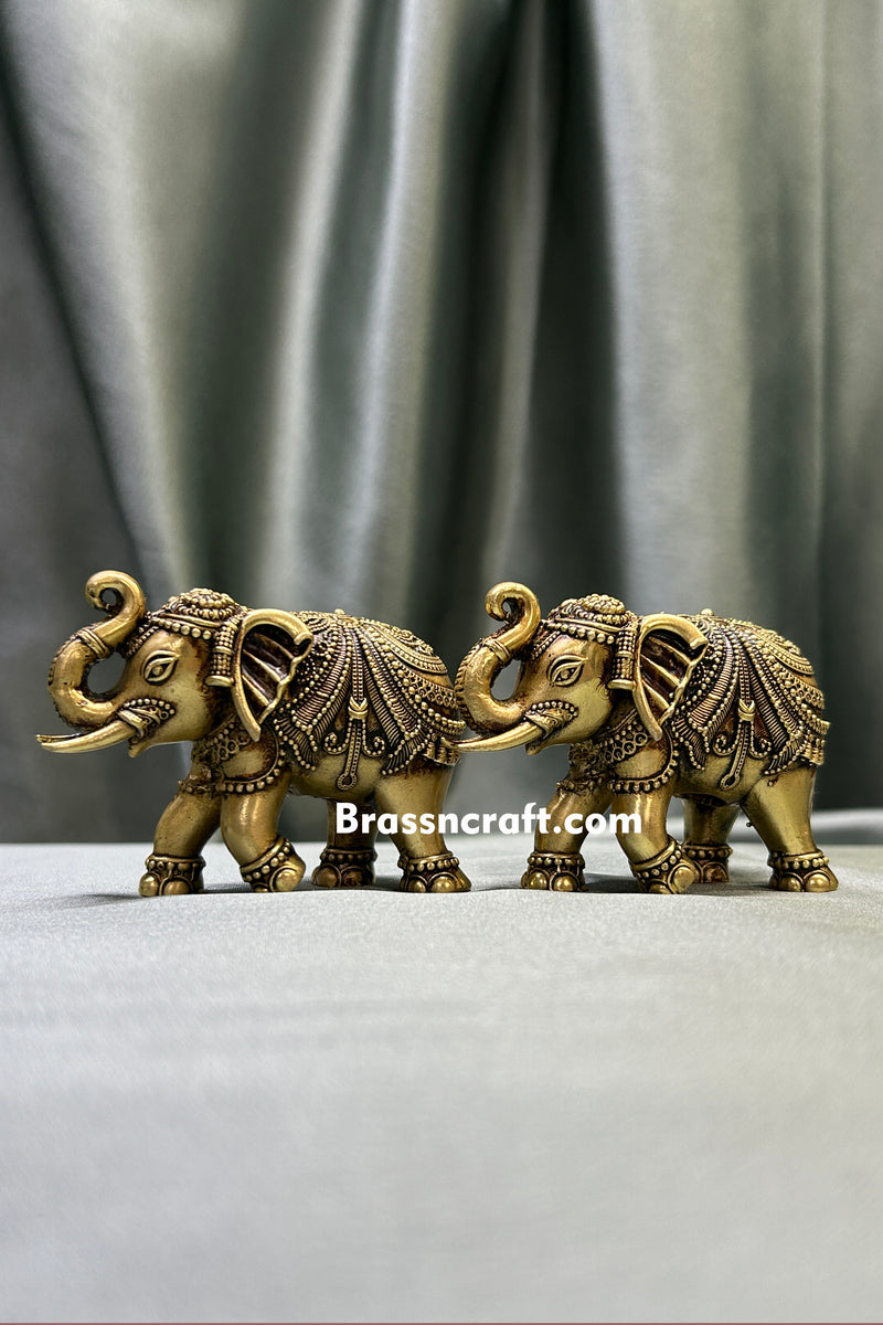 Design Elephant Set