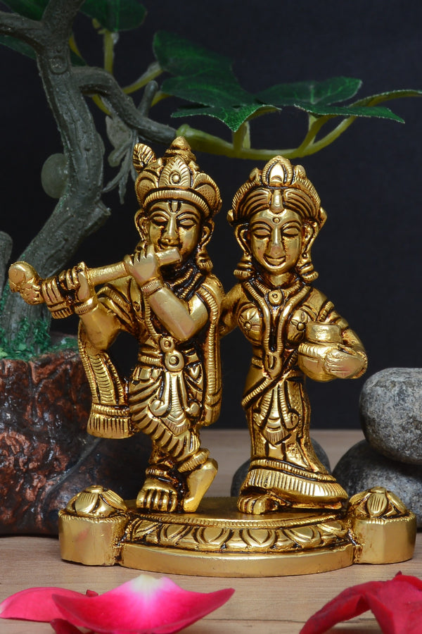 JOINT RADHA KRISHNA JI