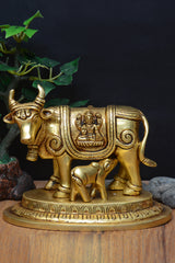 COW CALF LAXMI GANESH