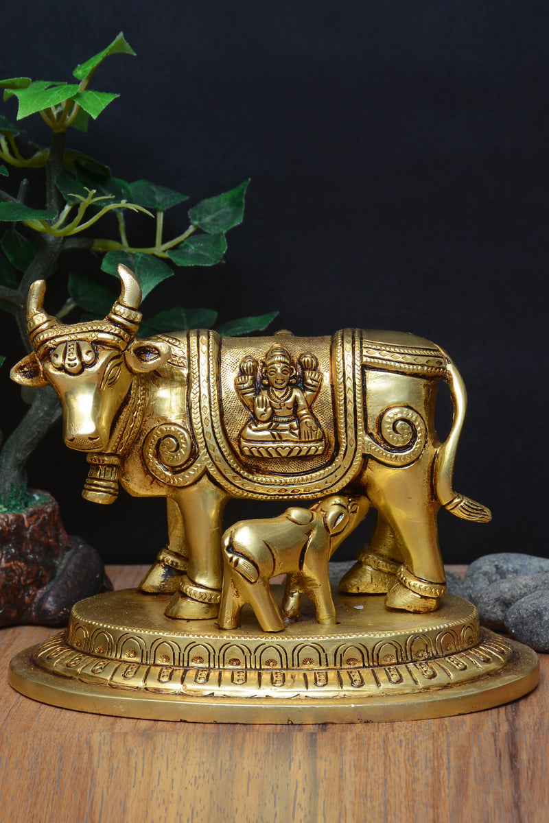 COW CALF LAXMI GANESH