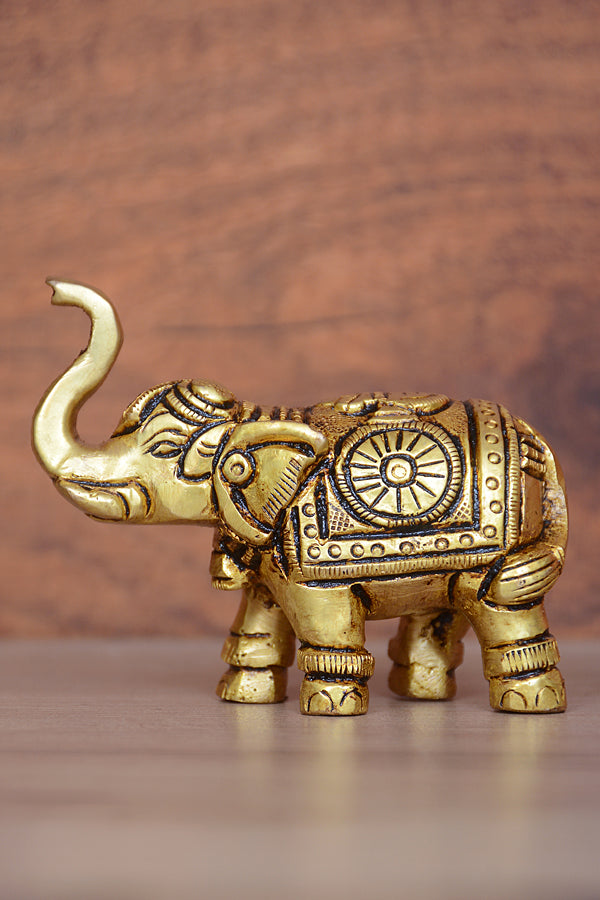 ELEPHANT SHANKH CHAKRA