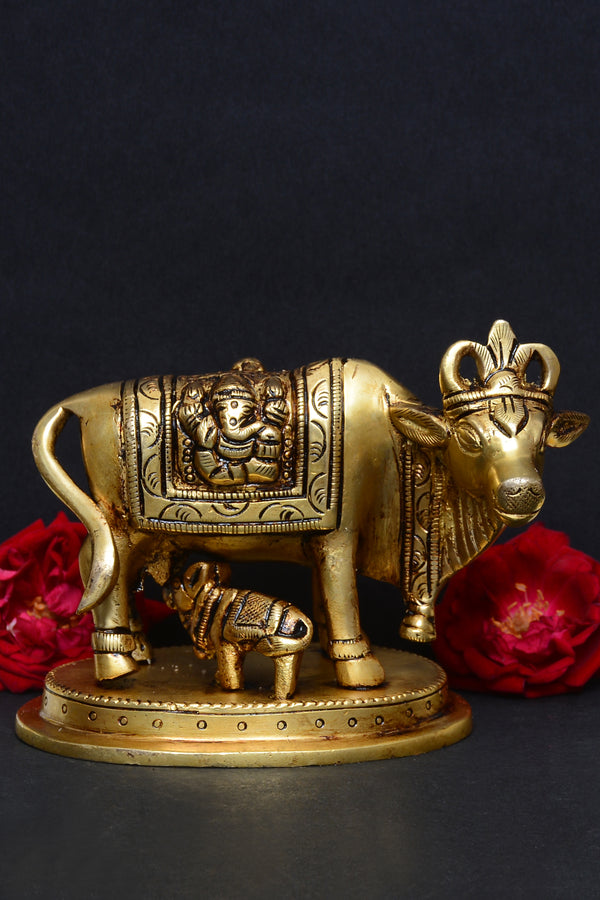 COW CALF LAXMI GANESH