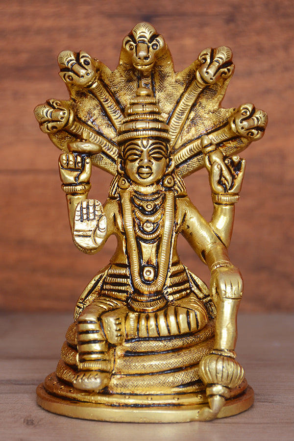 NAAG VISHNU