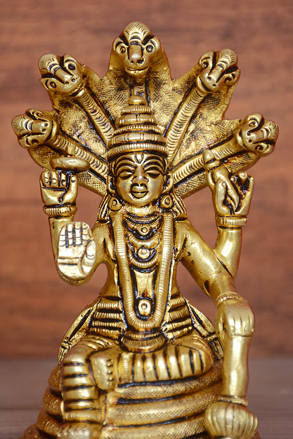 NAAG VISHNU