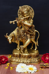 COW KRISHNA JI