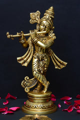 KRISHNA JI