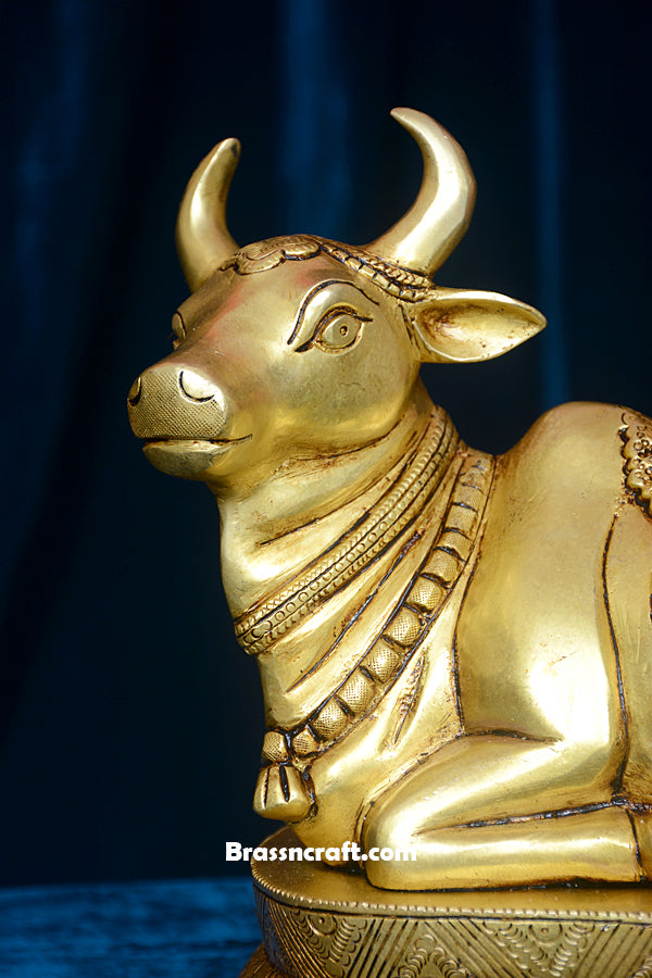 Nandi Design