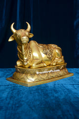 Nandi Design