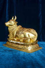 Nandi Design