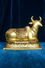 Nandi Design