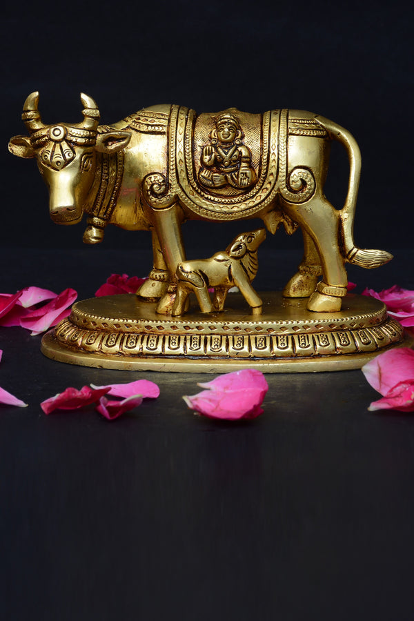 COW CALF LAXMI GANESH