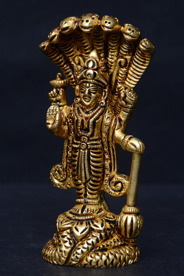 STANDING NAAG VISHNU