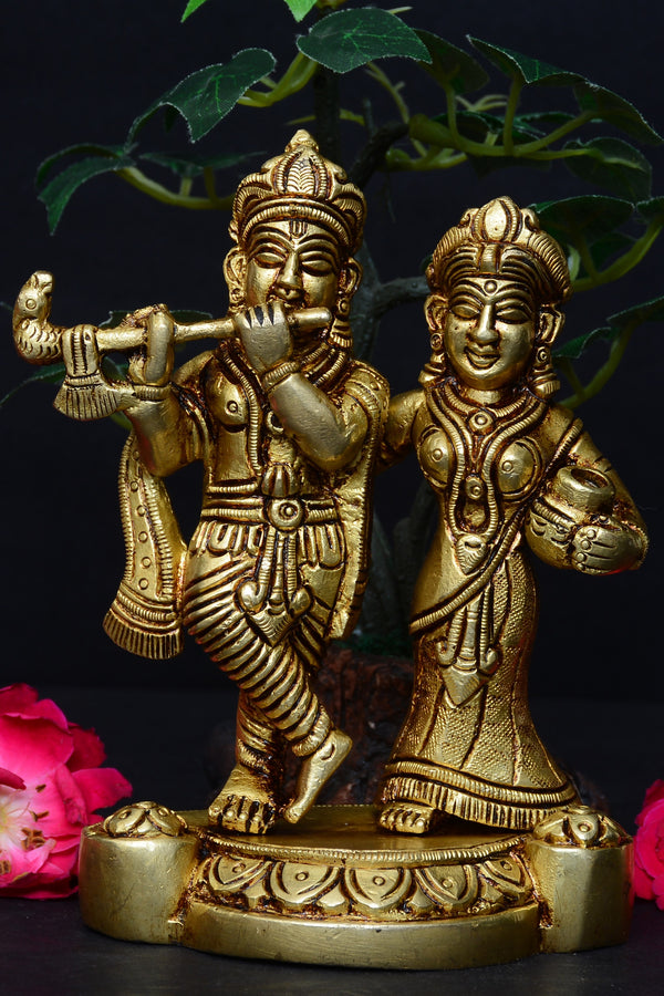 JOINT RADHA KRISHNA JI