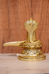 Brass Sheshnag Shivling