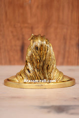 Brass Aadi Yogi Idol