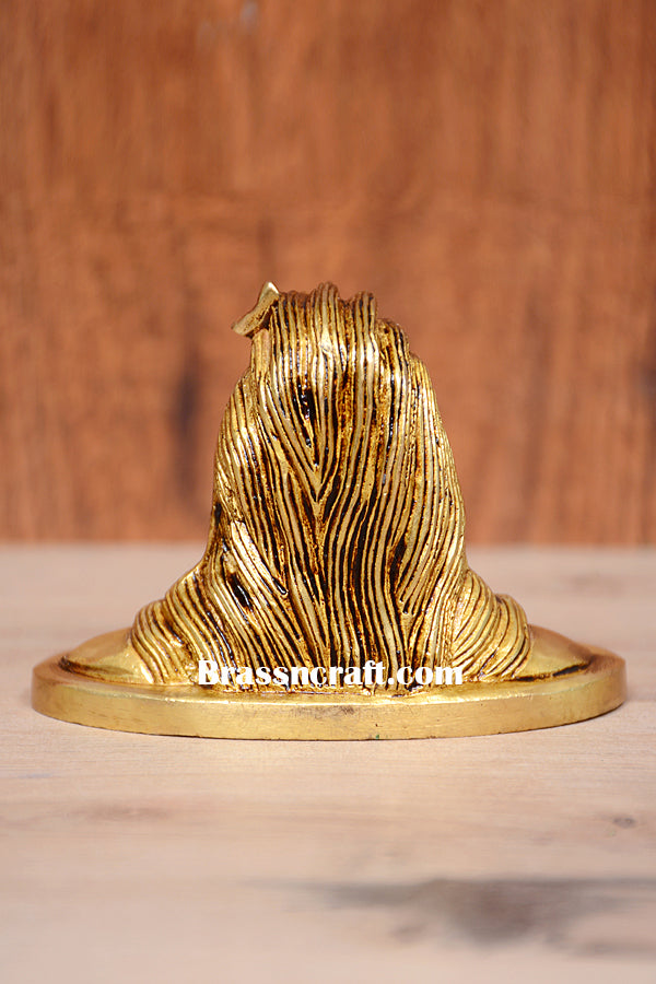 Brass Aadi Yogi Idol