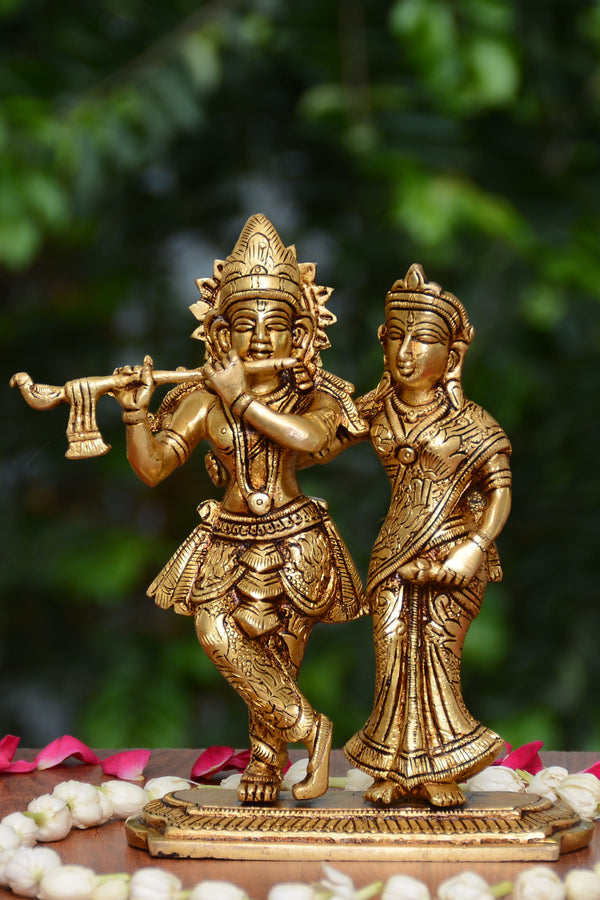 JOINT RADHA KRISHNA JI