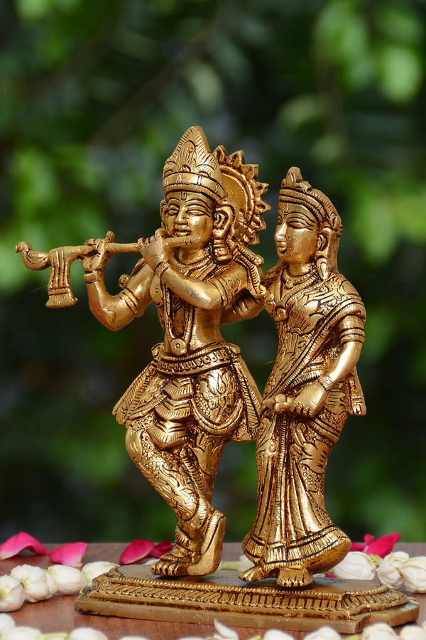 JOINT RADHA KRISHNA JI