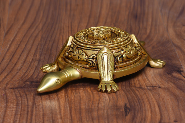 DESIGEN GANESH TORTOIES