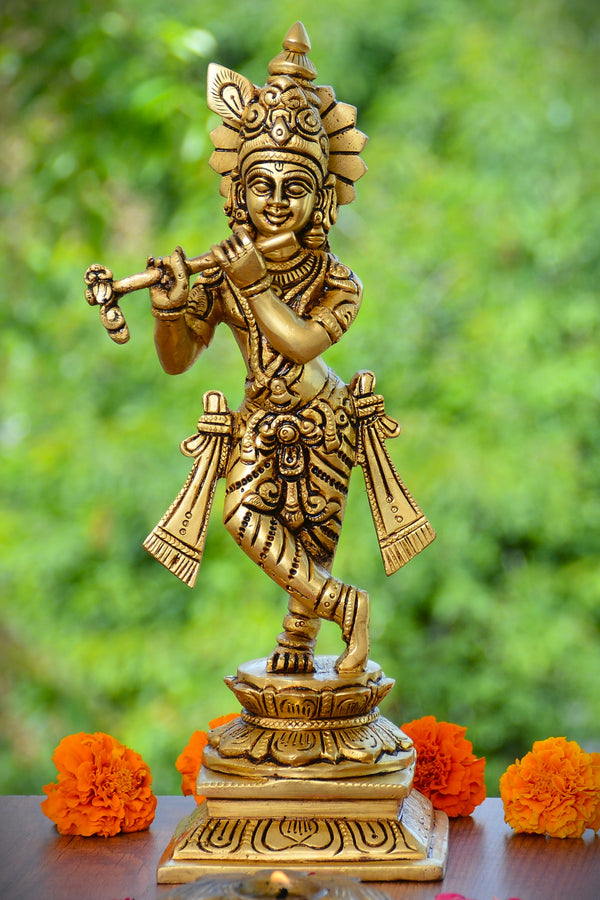 KRISHNA JI