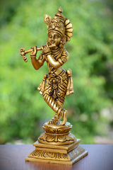 KRISHNA JI