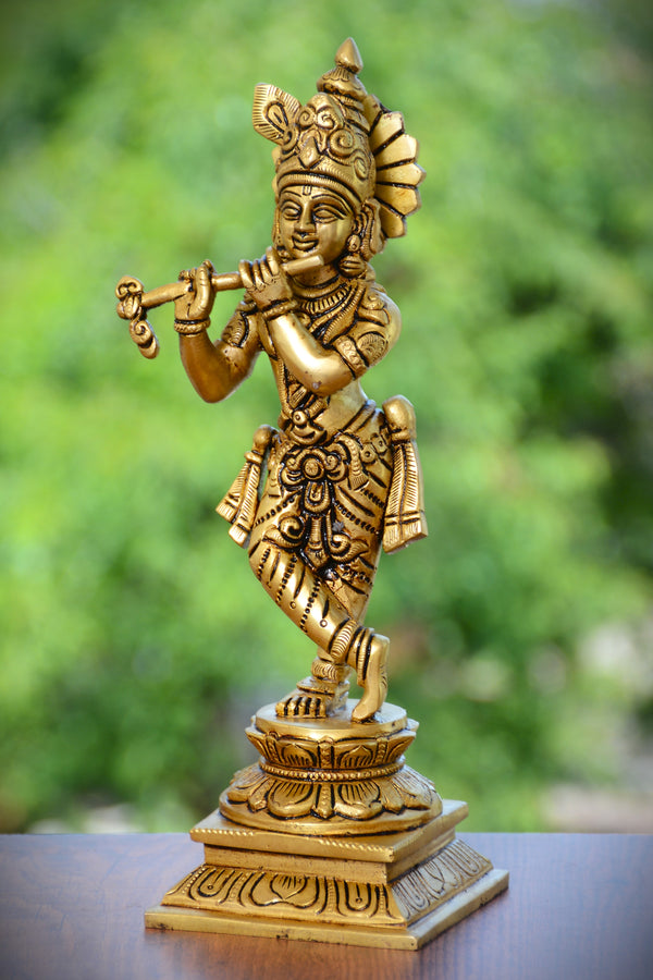 KRISHNA JI