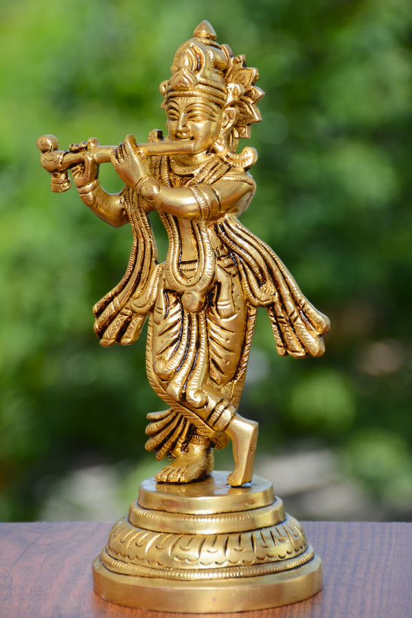 KRISHNA JI