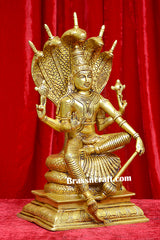 Brass Nag Vishnu Idol