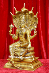 Brass Nag Vishnu Idol