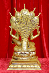 Brass Nag Vishnu Idol