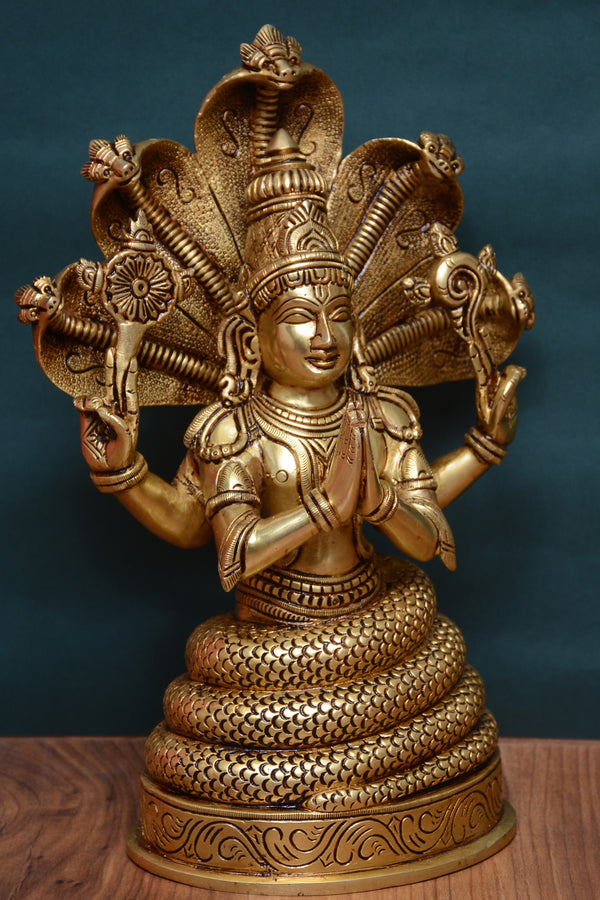 PANCHMUKHI NAAG VISHNU