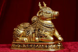 NANDI WITH BASE