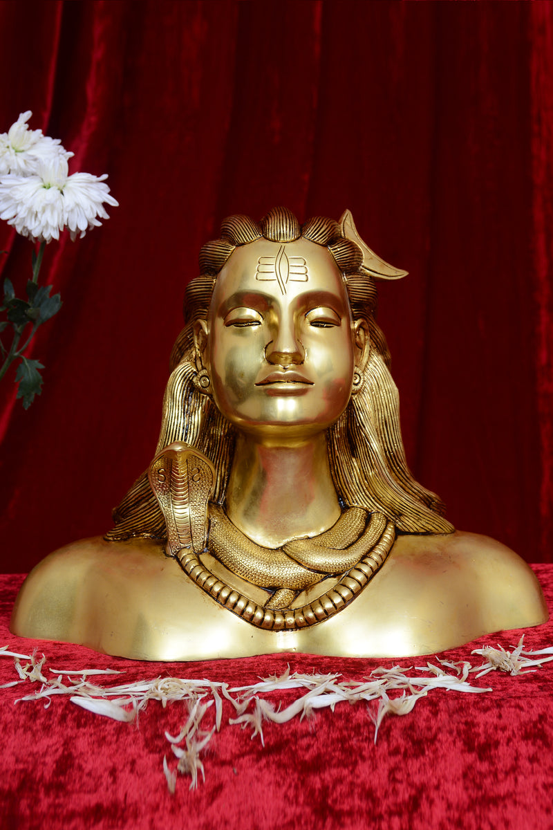 ADHIYOGI