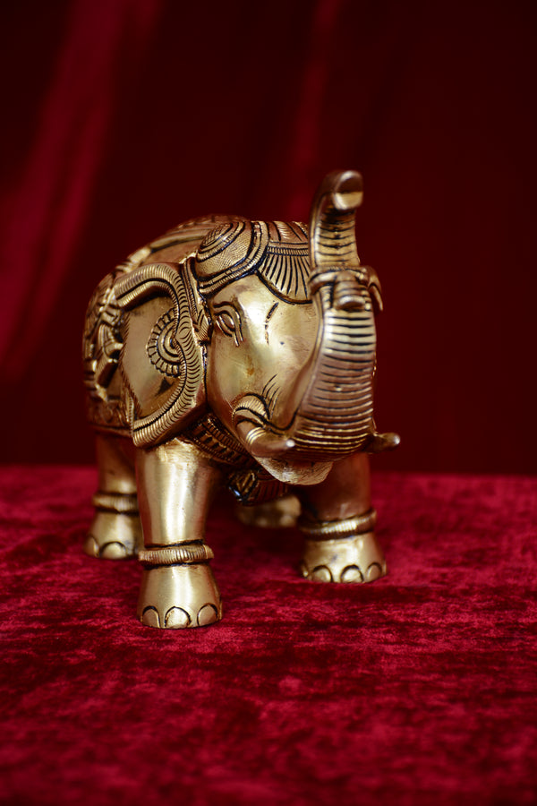 ELEPHANT WITH SHANKH CHAKRA