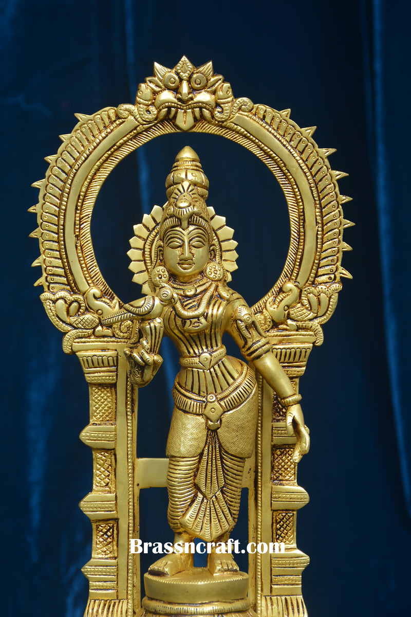 Brass Frame Meenakshi Devi Idol