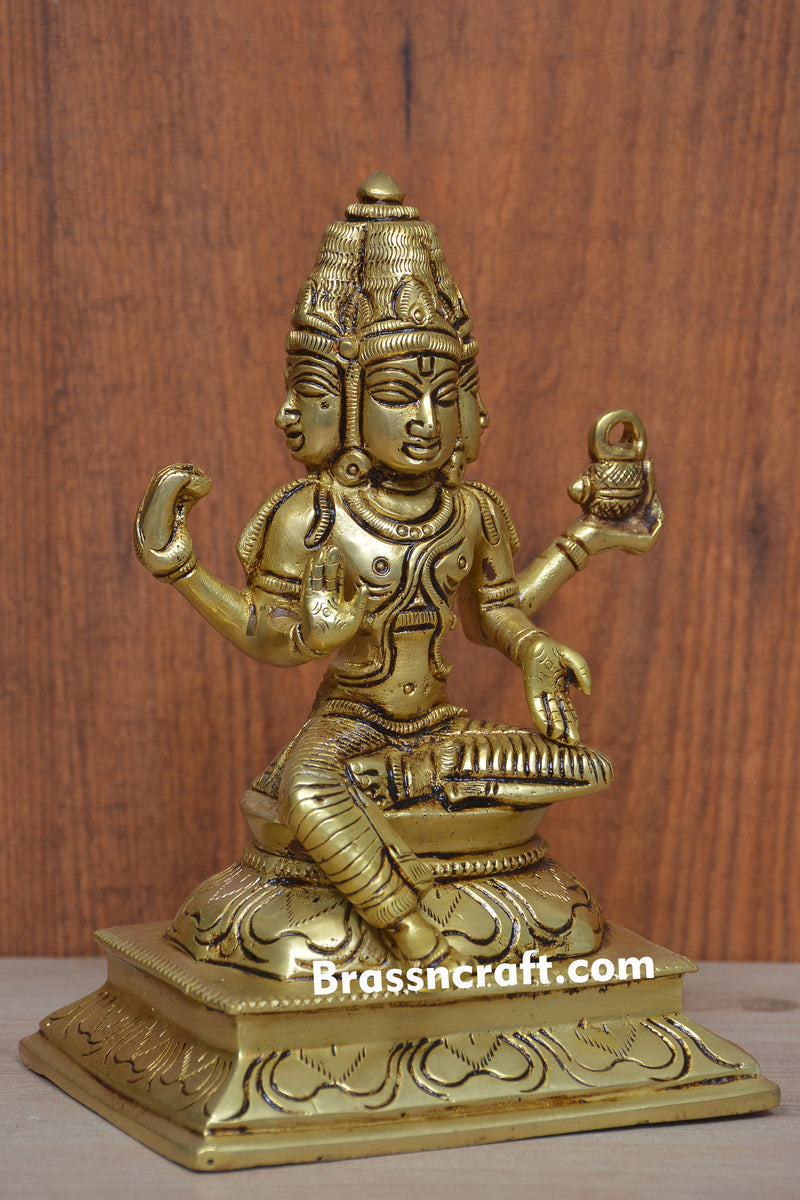 Brass Dhanvantari Statue