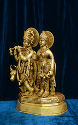 COW  RADHA KRISHNA