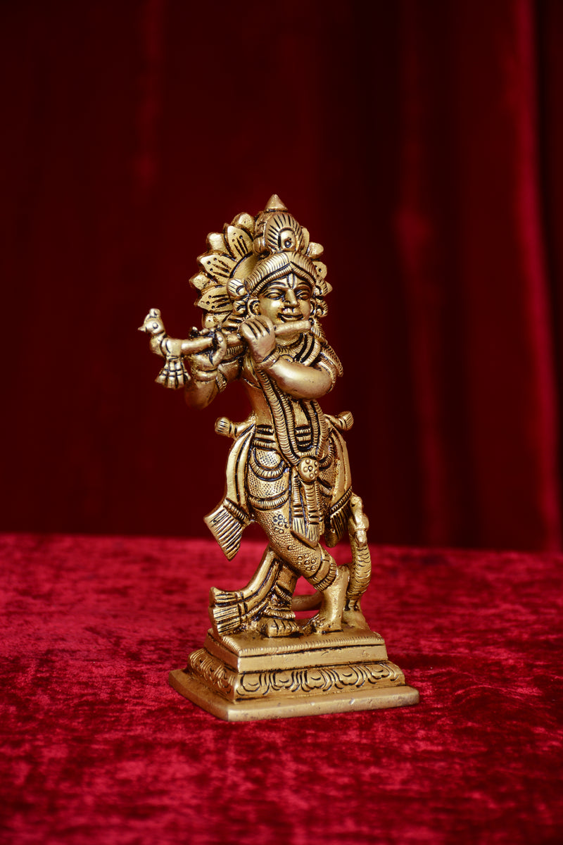 CHWOKI KRISHNA