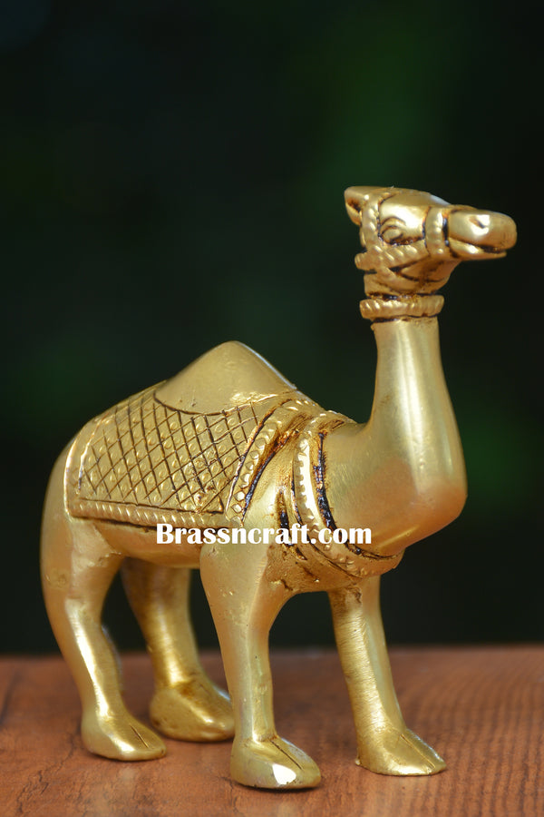 Brass Camel