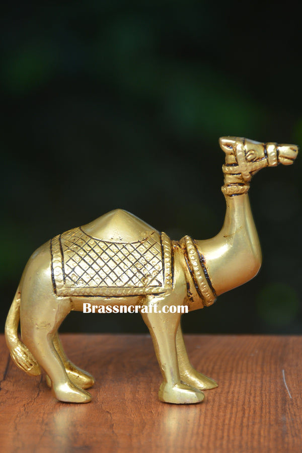 Brass Camel
