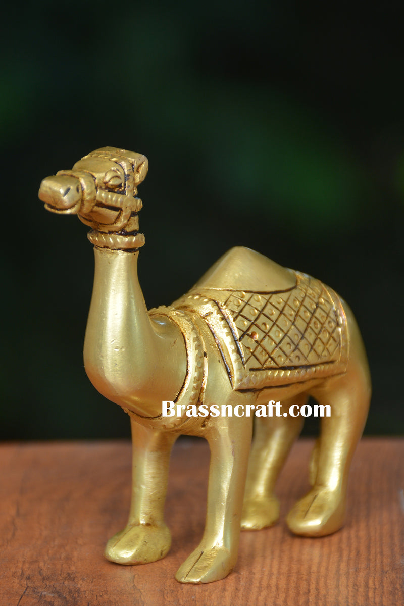 Brass Camel