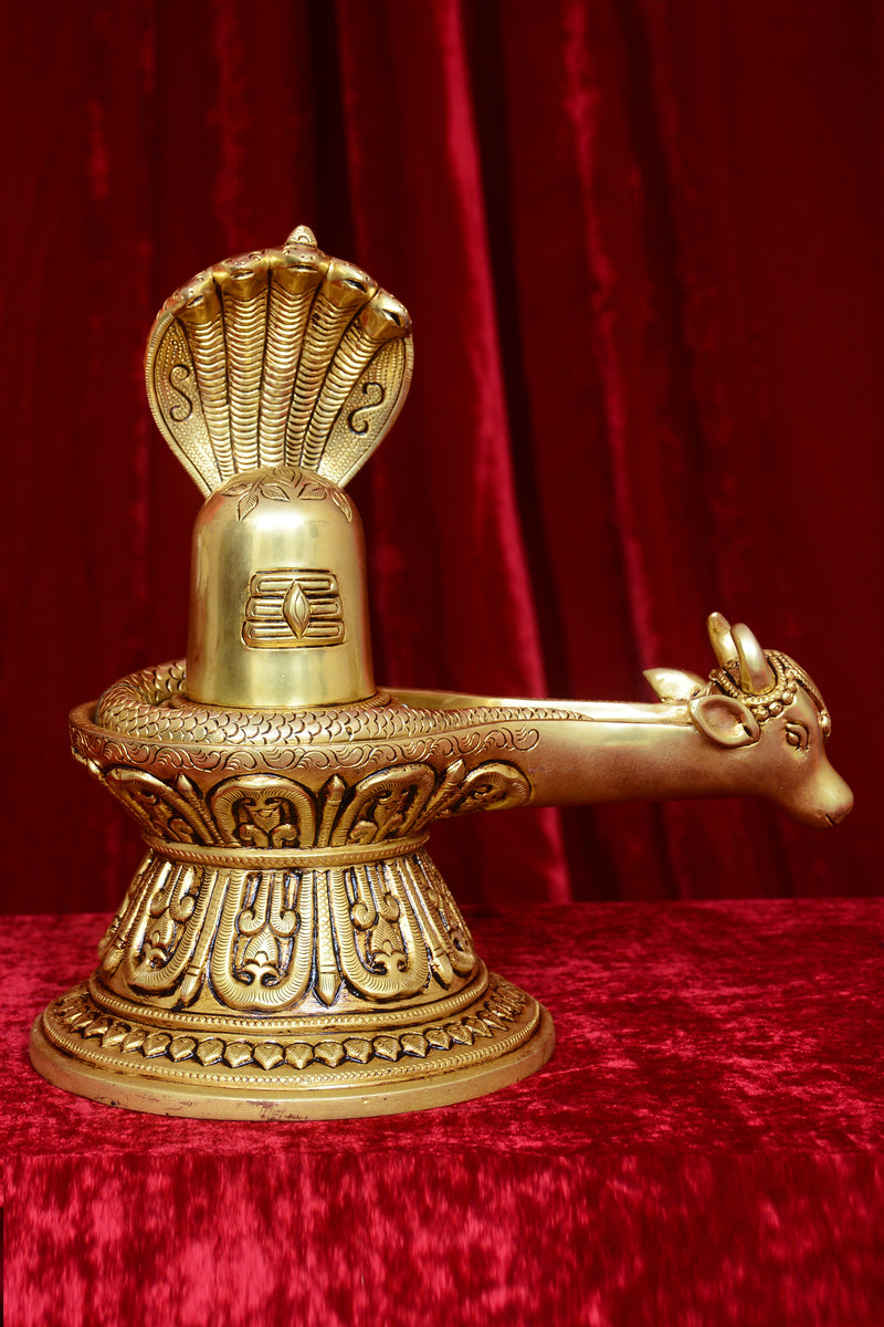 NAAG SHIVLING