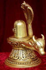 NAAG SHIVLING