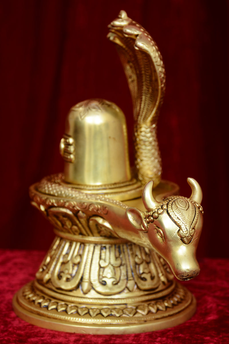 NAAG SHIVLING