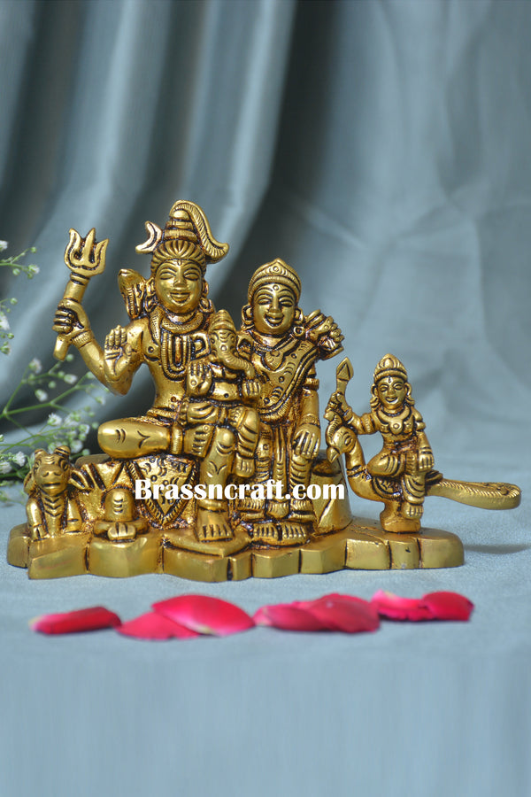 Brass Shiv Family idol