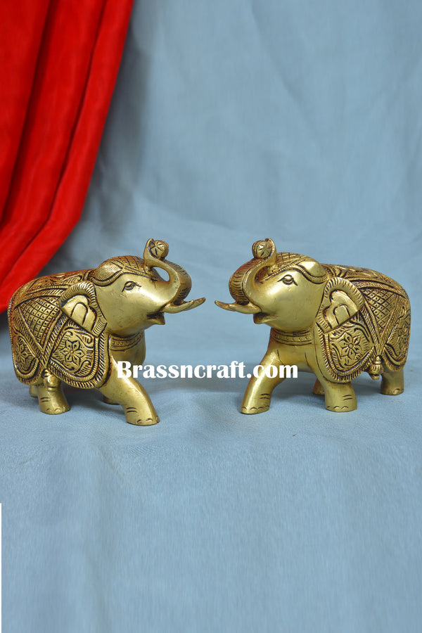 Elephant ( Set )