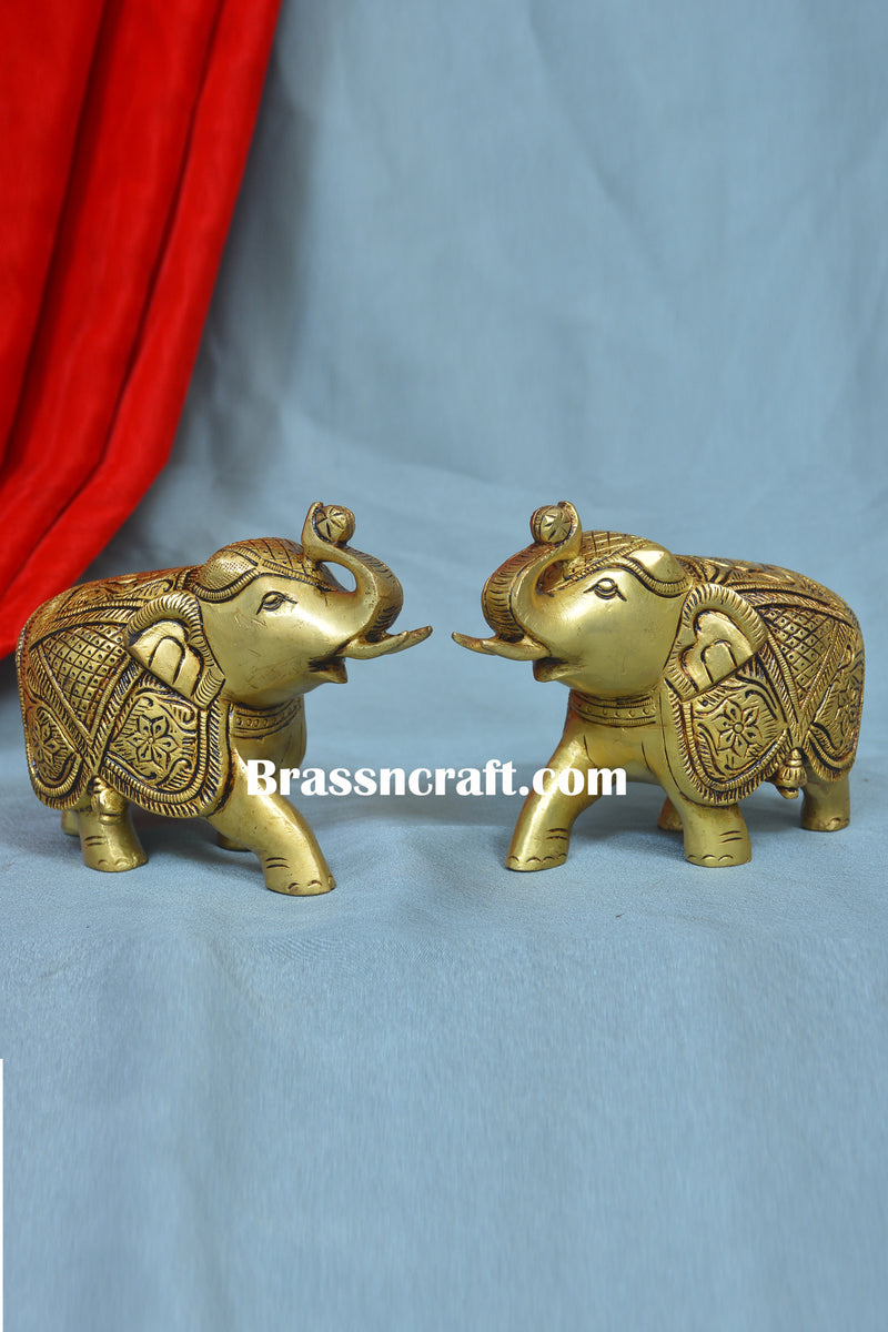 Elephant ( Set )